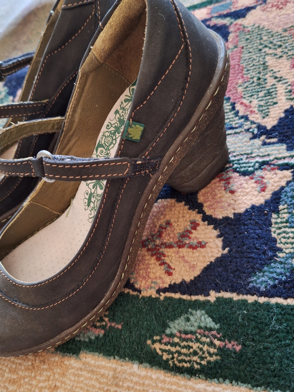 El Naturalista Brown Mary Jane Chunky Heel Shoes